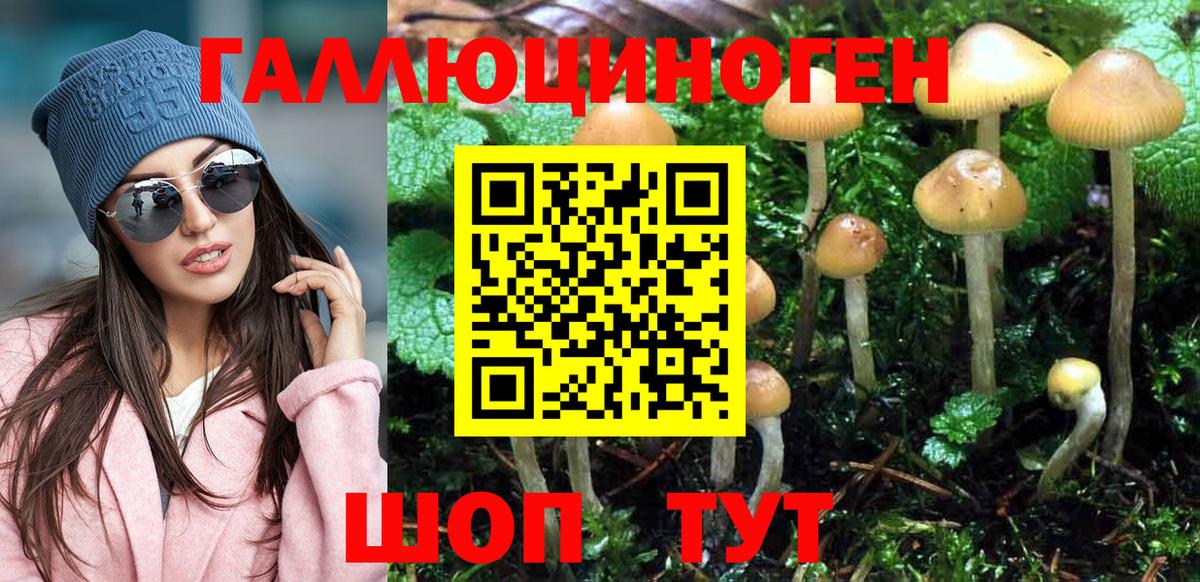 Галлюциногенные грибы мицелий Екатеринбург