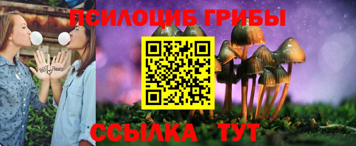 Галлюциногенные грибы Cubensis  Вход с VPN  Екатеринбург  Псилоцибиновые грибы мухоморы 
